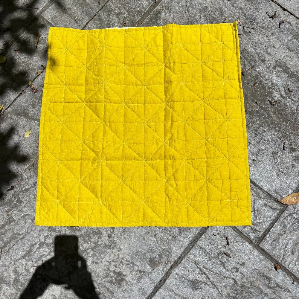 NWOT West Elm Nomad Euro Sham